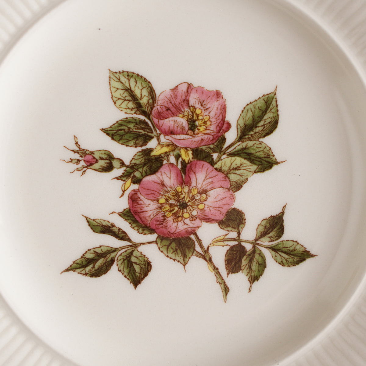 英國Wedgwood "荊棘薔薇"系列早餐盤